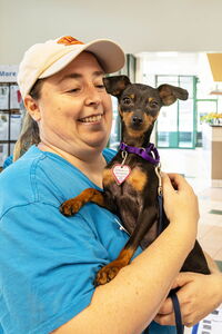Woman holds small brown dog at Dakin