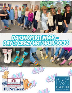 Staff at Finck & Perras Insurance Agency celebrate Crazy Day of Dakin's Spirit Week