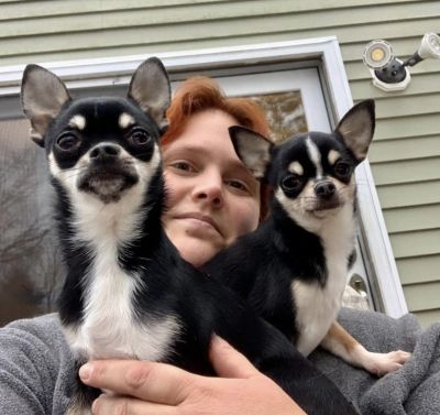 Person with two chihuahuas