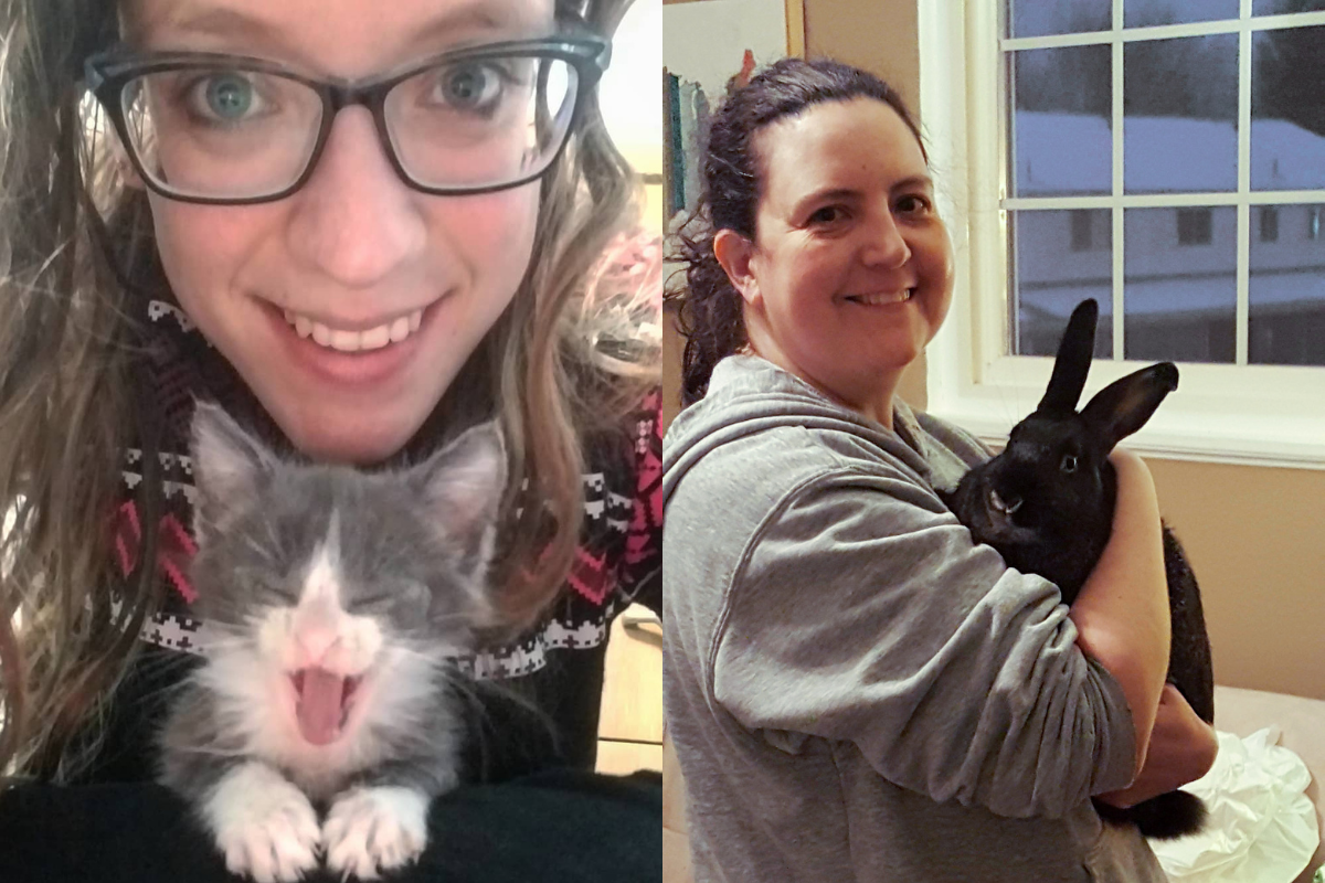 People holding a kitten and a rabbit