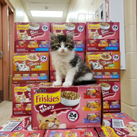 A white and grey kitten standing on boxes of cat food