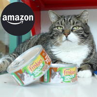 Large tabby cat sitting with canned cat food