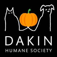 Dakin special Halloween logo