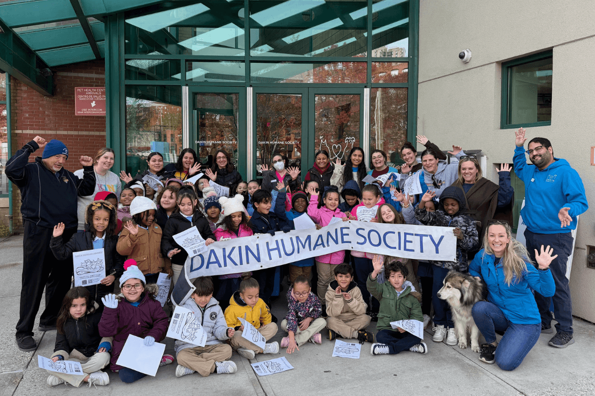 First graders from Milton Bradley Elementary School at Dakin Humane Society