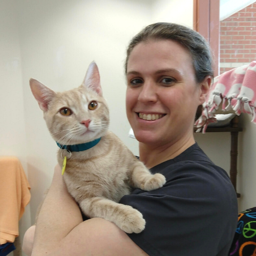 Person smiling with orange tabby cat
